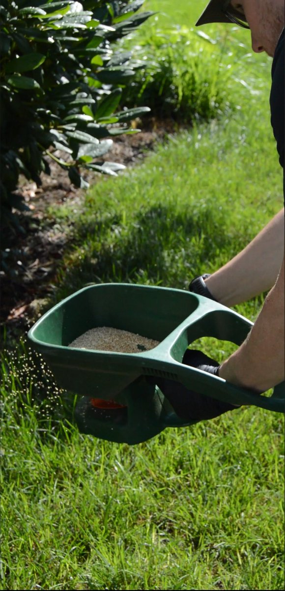 PureNewEngland's tweet image. Check out our skilled technician in action, applying our natural ant control treatment to fend off ants the eco-friendly way! 🐜🍃
#AntControl #EcoFriendlyPestControl #OrganicPestControl #GreenSolutions #PestFreeHome #SustainableLiving #EcoWarrior #NaturalPestManagement