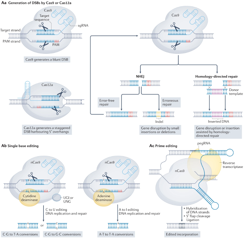 Nature Reviews Molecular Cell Biology tweet media