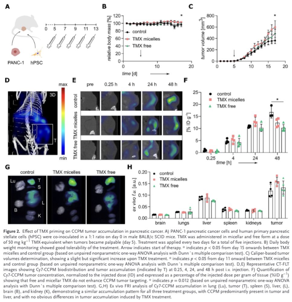 “Negative results” are rarely published. Even though disproving hypotheses seems as valuable as proving them. 

Based on previous work, we explored biophysical tumor priming with tamoxifen and found that there are no beneficial effects on drug delivery👇

onlinelibrary.wiley.com/doi/epdf/10.10…