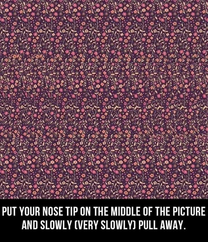 Can you guys see it?

I was browsing through Reddit and tried doing what it said but I just can't seem to see it :/