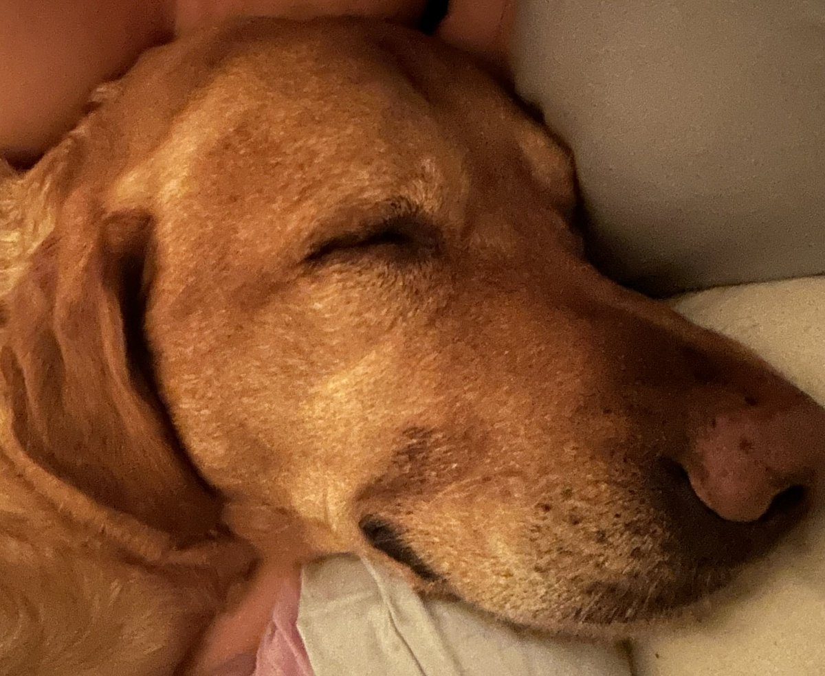 Simon Raymonde tweet media