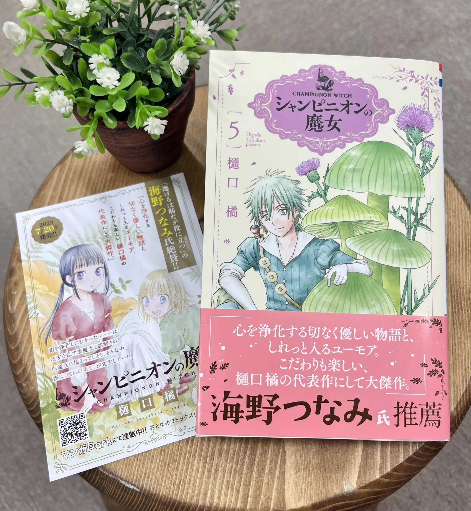 シャンピニオンの魔女＠最新7巻絶賛発売中！ (@champignonwitch) / X