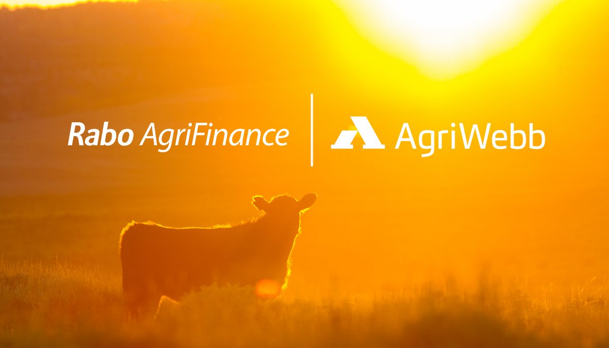 Rabo AgriFinance and <a href="/AgriWebb/">AgriWebb</a> recently signed a joint referral agreement that solidifies a preferred livestock management software resource for Rabo clients and connects AgriWebb users with a leading financial services provider. Learn more here: bit.ly/46Sy5J2