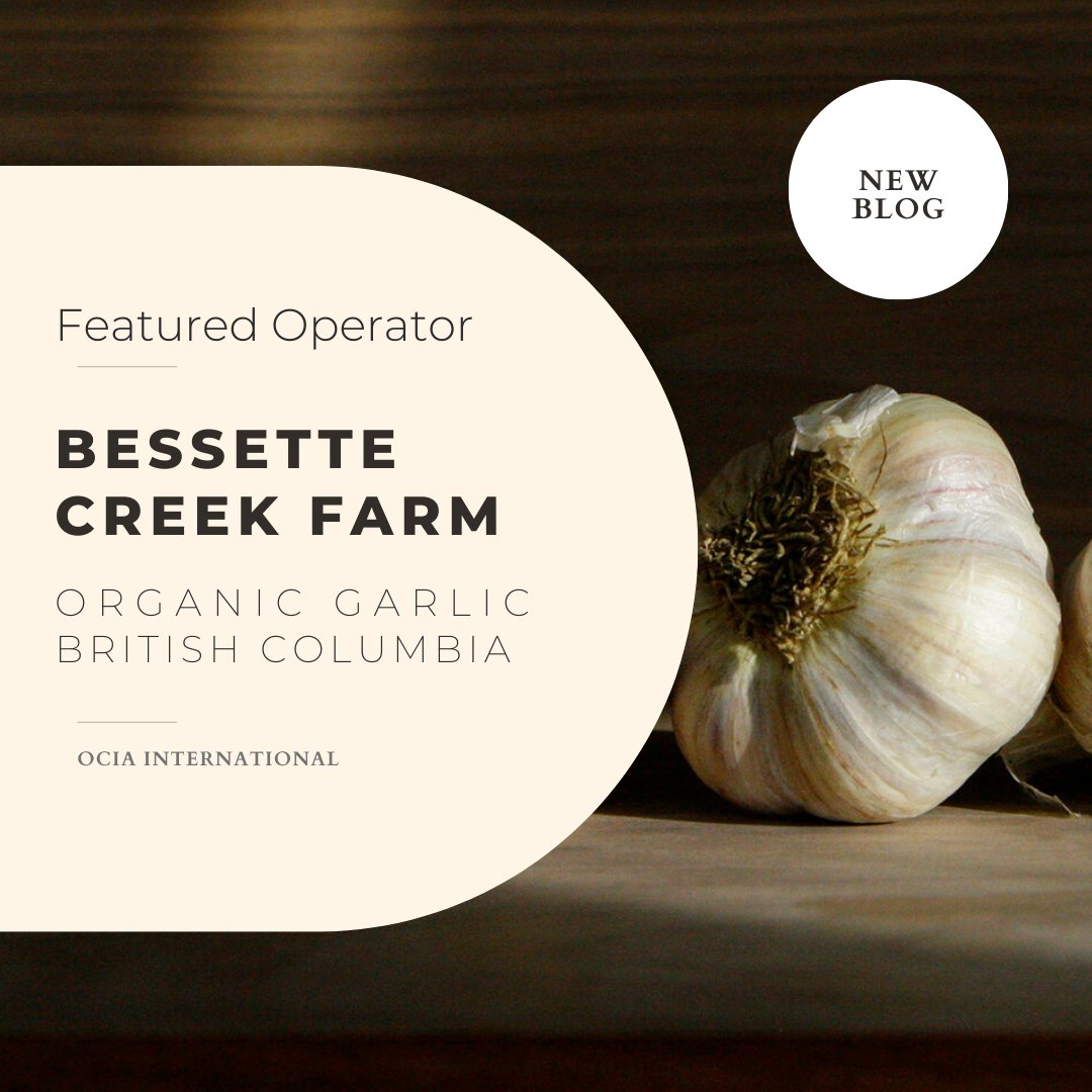 Meet Brandi, one of our amazing operators! Brandi and her family operate Bessette Creak Farm in British Columbia. 

Learn more about Brandi and Bessette Creek Farm by visiting our blog: ocia.org/2023/07/19/bes…

#organicfarming #agriculture #garlic #farmstory #canadianfarmers