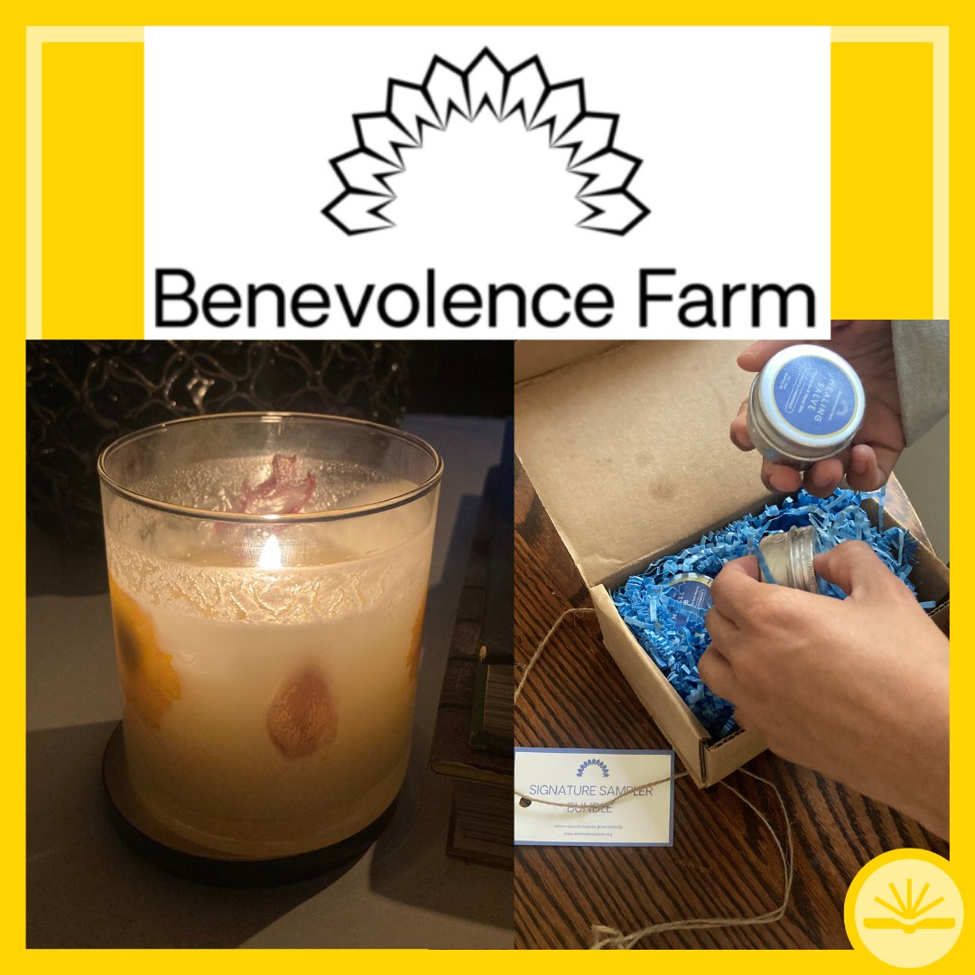 Roots of Success tweet media