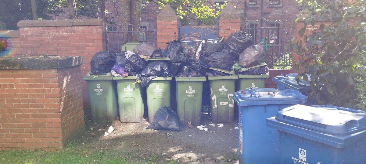MrsPJ2's tweet photo. @MyGlasgowCC Hi we have had at least one missed bin collection.  Could someone message me to arrange for this to be picked up. https://t.co/nZuXE2ZCWD
