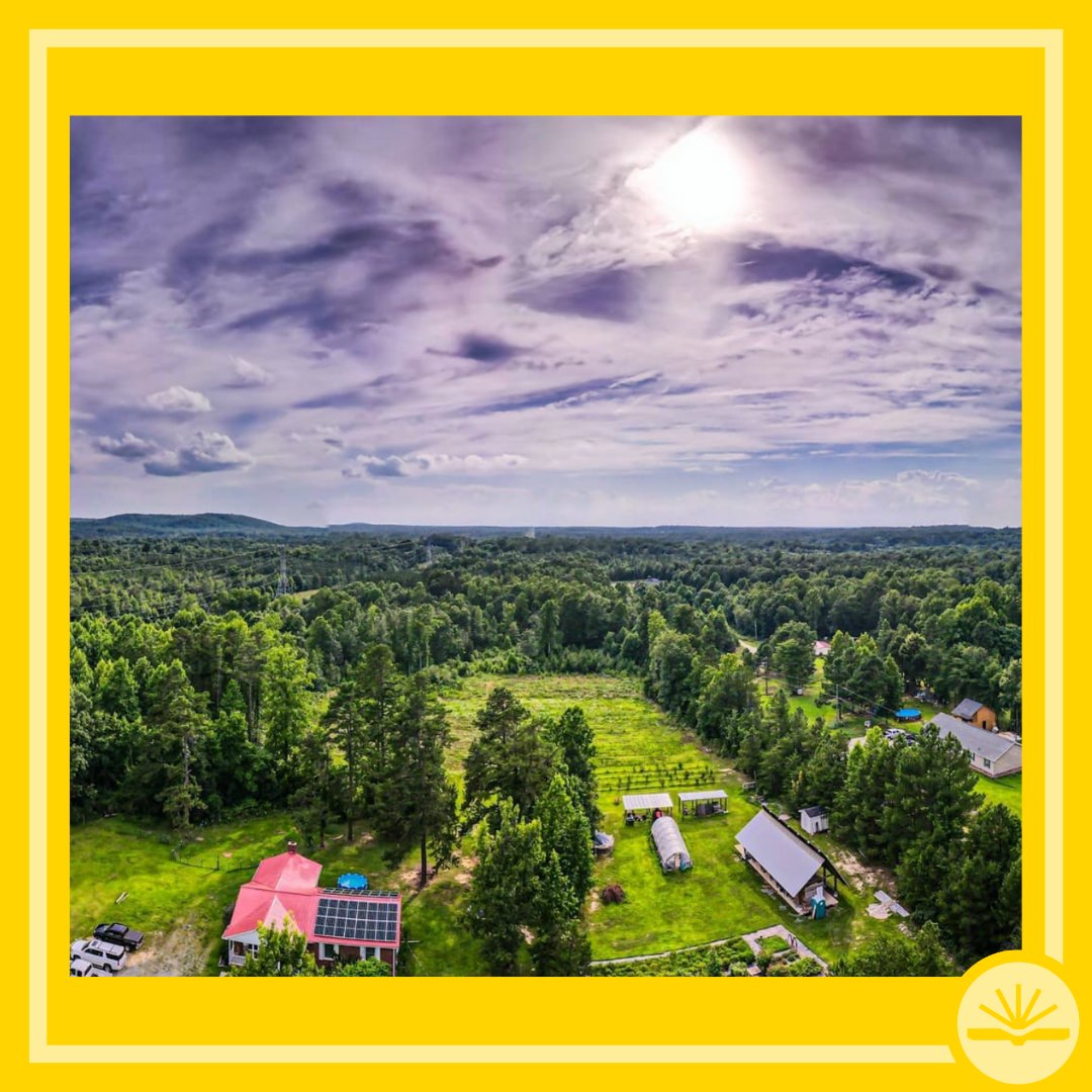 Roots of Success tweet media