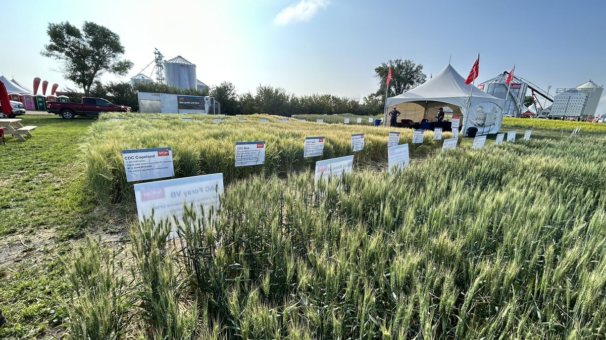 ReaneyCass's tweet photo. Day 2 at @AginMotion here we go with @SeCan 

#WestTeamBestTeam
#CanadasSeedPartner https://t.co/phXb9OHRpb