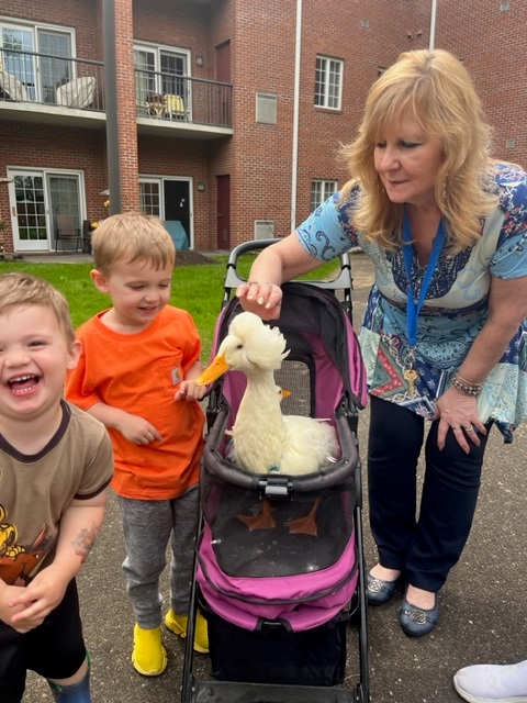 ConcordiaLM's tweet photo. #ConcordiaAtCabot residents hung out with some feathery friends. The little ducklings fit perfectly in their palms while Momma Duck kept an eye on her kiddos. To learn more about this quack-tacular community, visit https://t.co/eff2cLXjjX. #Ducks #FeatherFriends https://t.co/abWG8HxzuT