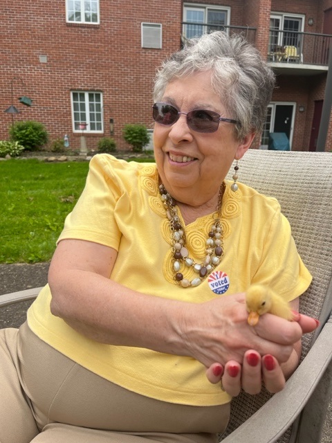 #ConcordiaAtCabot residents hung out with some feathery friends. The little ducklings fit perfectly in their palms while Momma Duck kept an eye on her kiddos. To learn more about this quack-tacular community, visit ConcordiaCabot.org. #Ducks #FeatherFriends