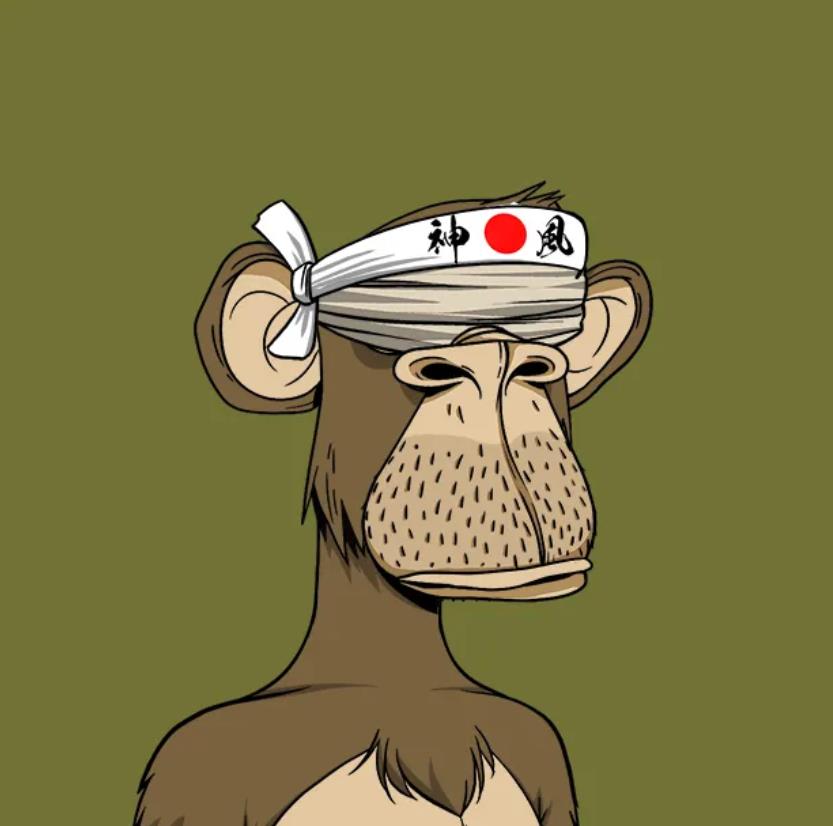 2 Year Horizon. That has always been my rule 
I gave that timeline for my own businesses and skills to be built. 
I will remain patient, because if Apes goes, I'm out of this space 
We ride, or die 🔥