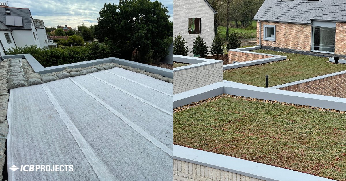 ICB_Projects tweet media