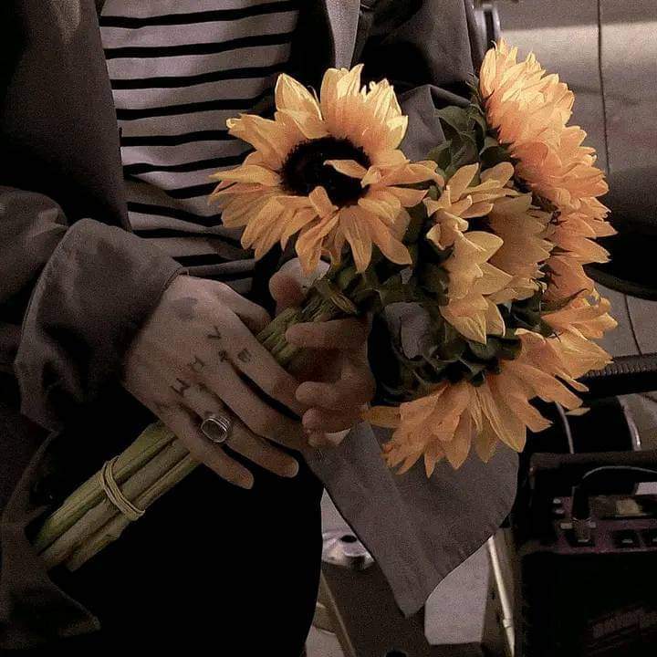 "El pesimista se queja del viento, el optimista espera que cambie y el realista ajusta las velas. "