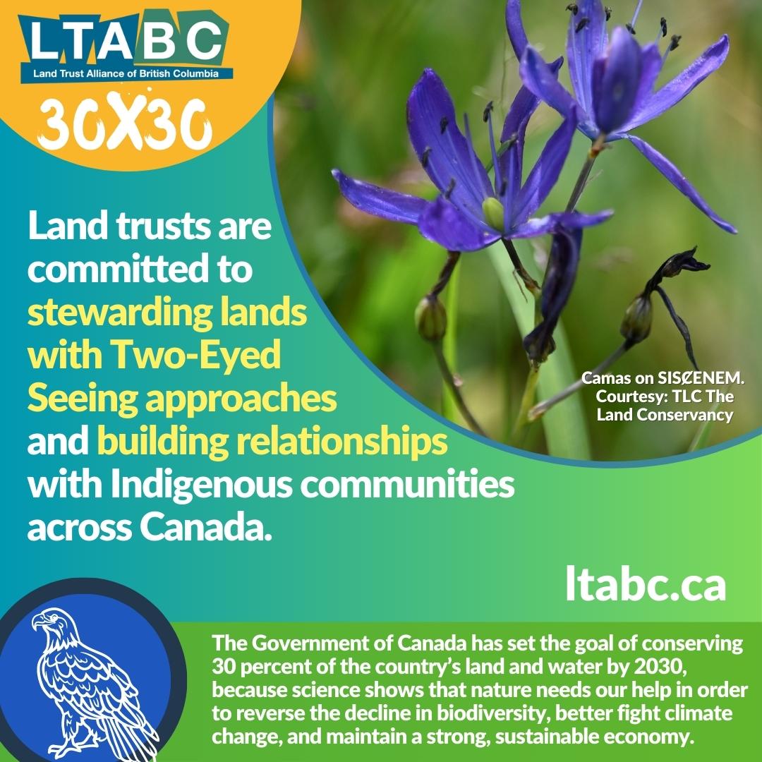 #CanEnvironment #landtrust #landtrusts #bc #britishcolumbia #conservation #climateaction #endangeredspecies #wildlife #ecosystems #biodiversity #climatechangeresilience #nature #sustainable #naturebasedsolutions #landstewardship #landrestoration #habitat #environmentandclimate