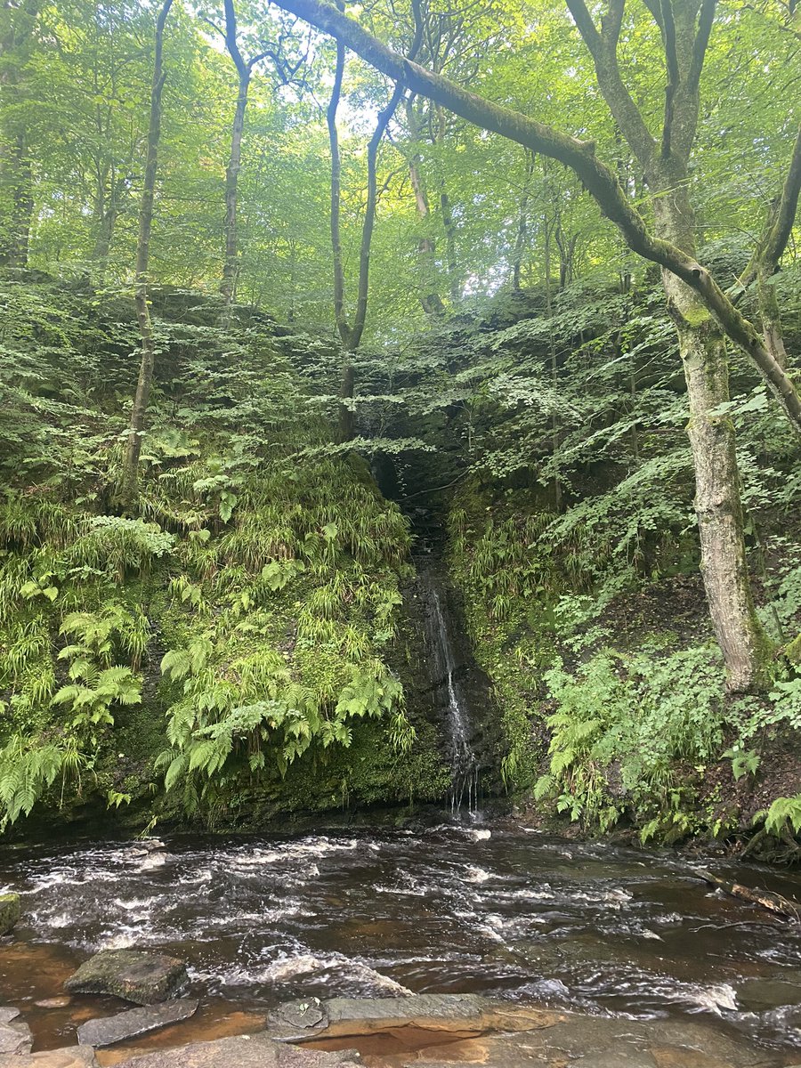 Such a lovely afternoon with my class at Tockholes Woods. They just love being outdoors. #nature #theraputic #forestschool #adventures #team #happytimes <a href="/Eden_School1/">EdenSchoolBlackburn</a> <a href="/Edenschool_DS/">Darren Swarbrick</a>