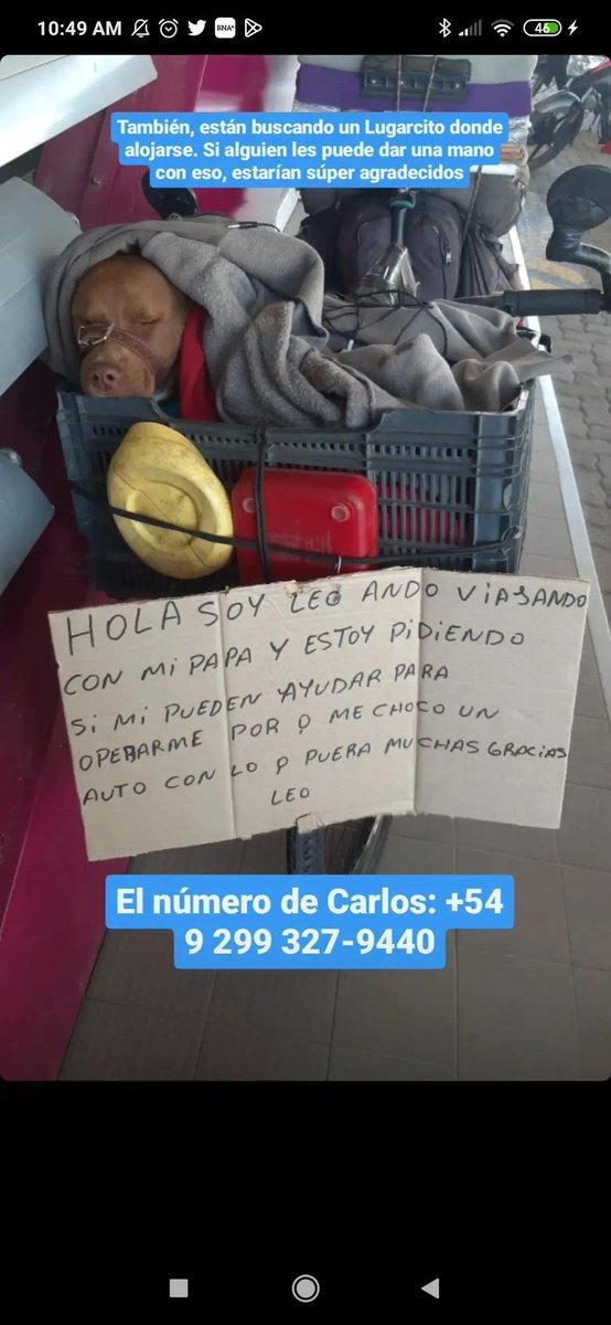 Cami Mancini (@camilam27402745) on Twitter photo 