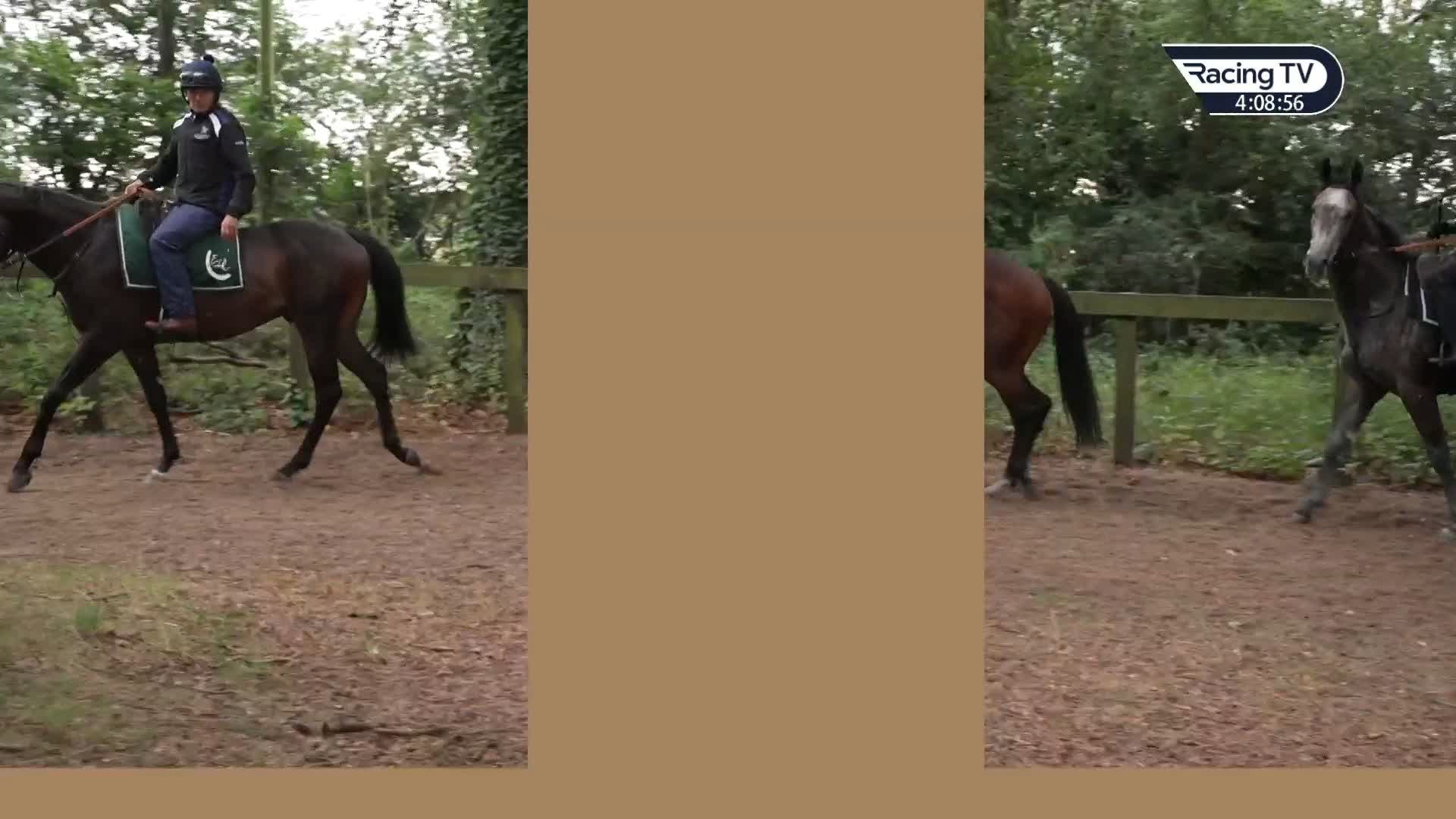 Racing TV on Twitter up on ThisRacingLife at 8.30pm on Racing