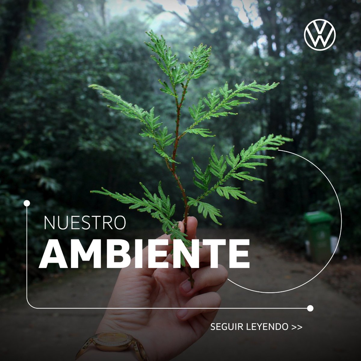 CEOVWA's tweet photo. Alineados a nuestra estrategia global #WayToZero, tenemos como objetivo ser carbono neutral a 2050. Les comparto algunas acciones que plasmamos en nuestro Informe de Sustentabilidad 2022 y que reflejan este compromiso. https://t.co/JihPG7Vy2y