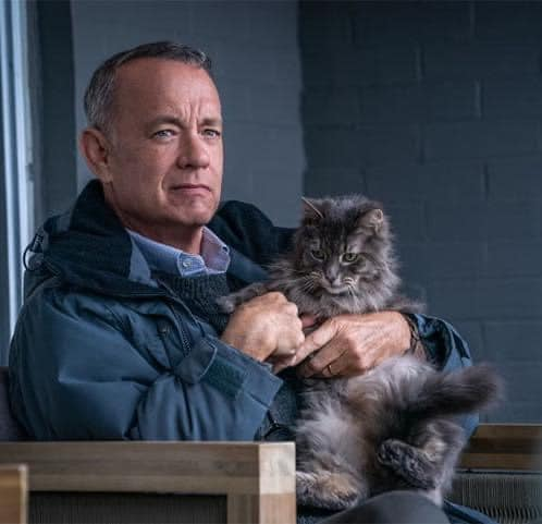 RT @Loovenelle: Tom Hanks https://t.co/8tnIvc0CS2