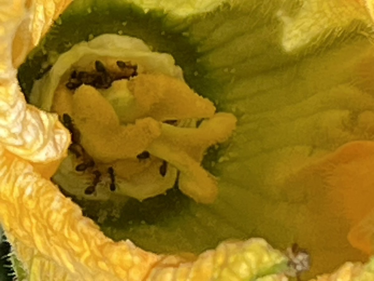 Nevin - Sustainability and Government Relations tweet media