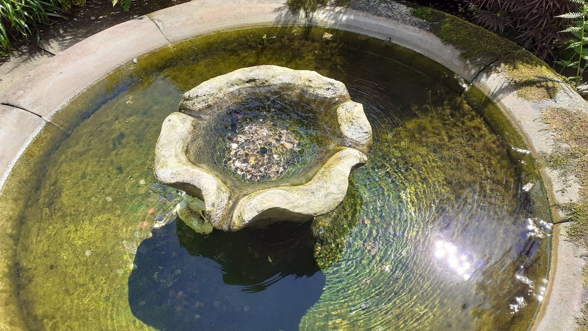 johnwxxiv's tweet photo. Lovely day out at #Rodehall #Cheshire..... #Gardens and house beautiful #daysout https://t.co/EKwTanjykH