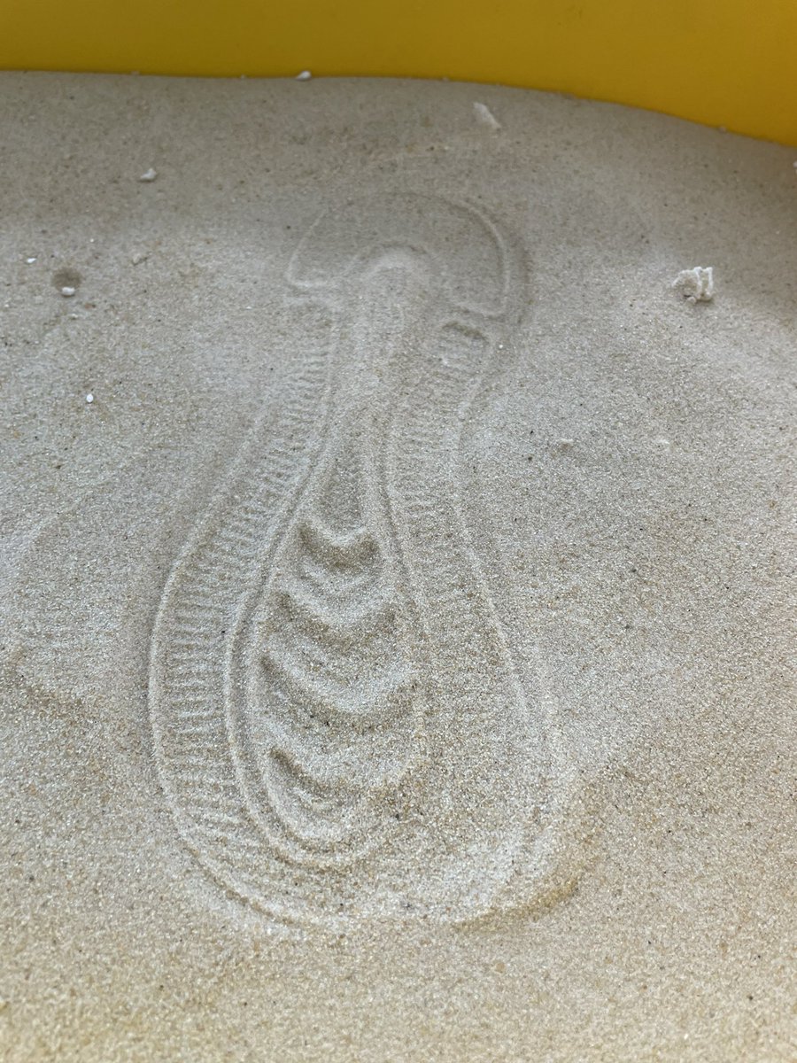 SDE_Steam's tweet photo. Todays final forensic club ended with shoe prints and analysis of a crime scene. Can’t wait to run it again next year. #CSI #Forensics #STEAM https://t.co/iq9qx2wBDb
