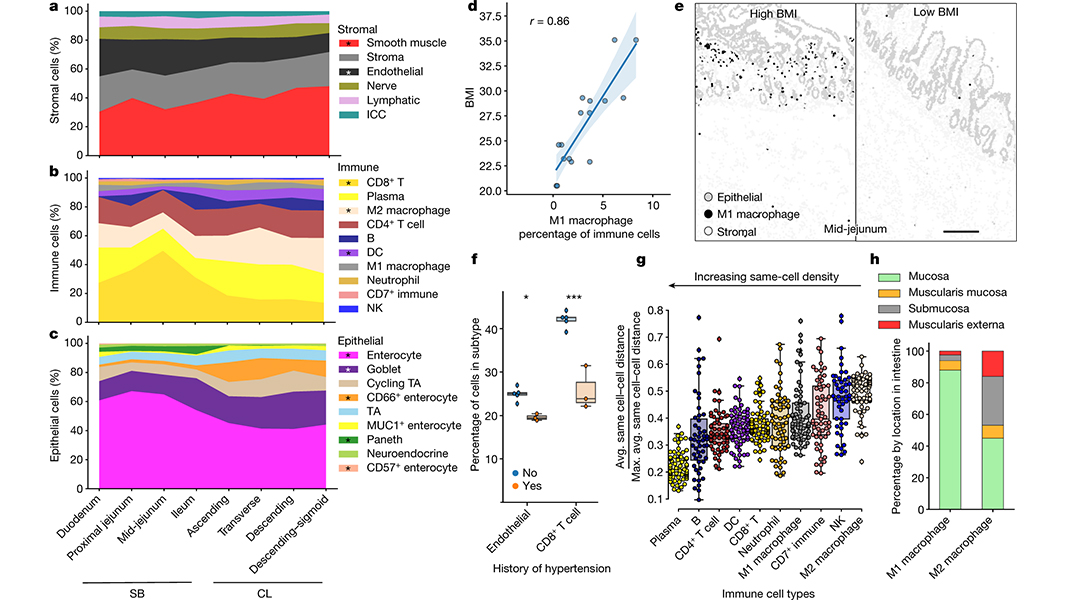 Nature Portfolio tweet media