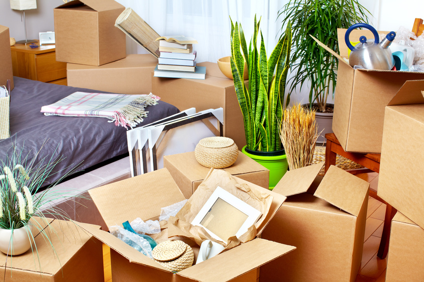 craigvanlines's tweet photo. 9 Ultimate Packing Hacks for a Stress-Free Move https://t.co/o3ABN2jnXO https://t.co/UJ4dy0igKb