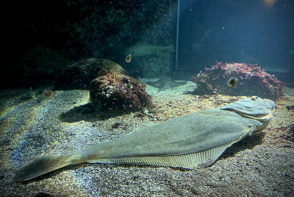 Fredrik Jutfelt @jutfelt.bsky.social tweet media