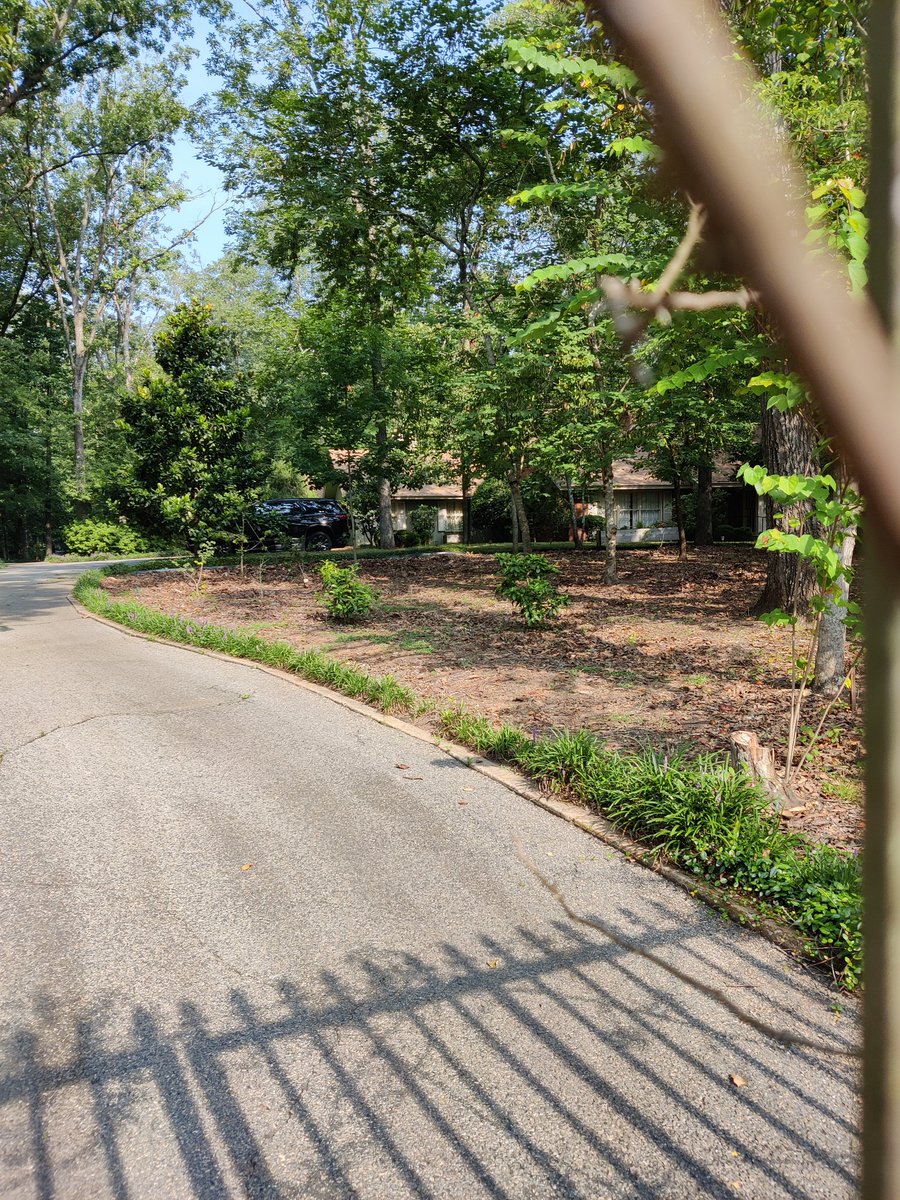 sattlercyber's tweet photo. My whole week was made. Getting to see the compound, feed President Carter's fish, see Mrs. Carter's garden, etc... @JimmyCarterNPS @dacia92 #STEAMinthePark https://t.co/uDHNwtybnp