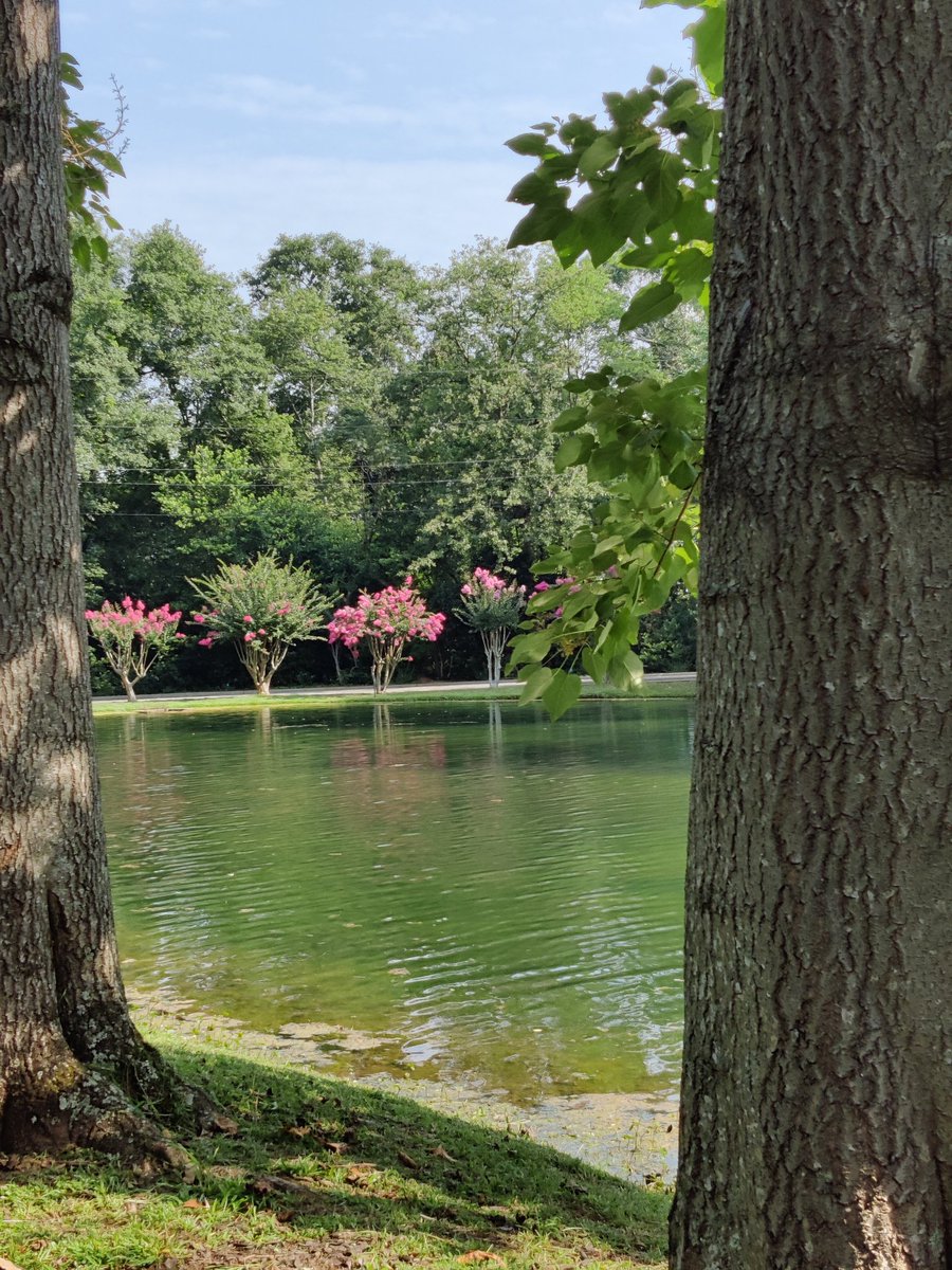 sattlercyber's tweet photo. My whole week was made. Getting to see the compound, feed President Carter's fish, see Mrs. Carter's garden, etc... @JimmyCarterNPS @dacia92 #STEAMinthePark https://t.co/uDHNwtybnp