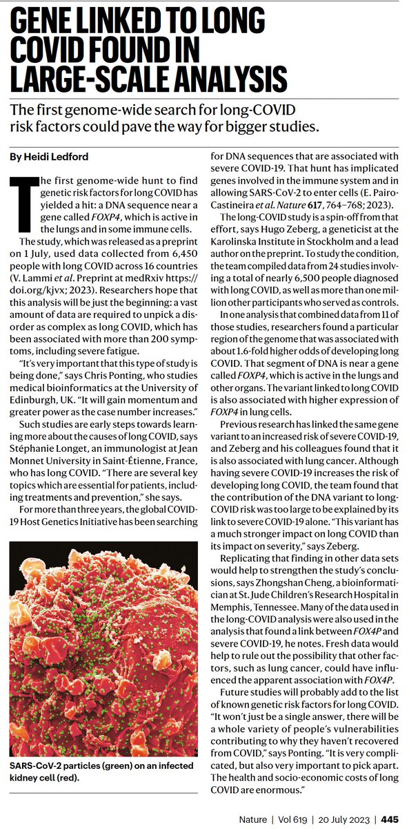 Eric Topol (@erictopol) on Twitter photo Link to the new <a href="/Nature/">nature</a> paper on Asymptomatic Covid genomics
nature.com/articles/s4158… by <a href="/dan_gard/">Danillo Augusto</a> <a href="/LawtonMurdolo/">Lawton Murdolo</a> <a href="/hollenbachlab/">Hollenbach Lab</a> and colleagues
Link to <a href="/Nature/">nature</a> coverage of the #LongCovid FOXP4 genomic finding
nature.com/articles/d4158… by <a href="/heidiledford/">Heidi Ledford</a> Link to the new <a href="/Nature/">nature</a> paper on Asymptomatic Covid genomics
nature.com/articles/s4158… by <a href="/dan_gard/">Danillo Augusto</a> <a href="/LawtonMurdolo/">Lawton Murdolo</a> <a href="/hollenbachlab/">Hollenbach Lab</a> and colleagues
Link to <a href="/Nature/">nature</a> coverage of the #LongCovid FOXP4 genomic finding
nature.com/articles/d4158… by <a href="/heidiledford/">Heidi Ledford</a>
