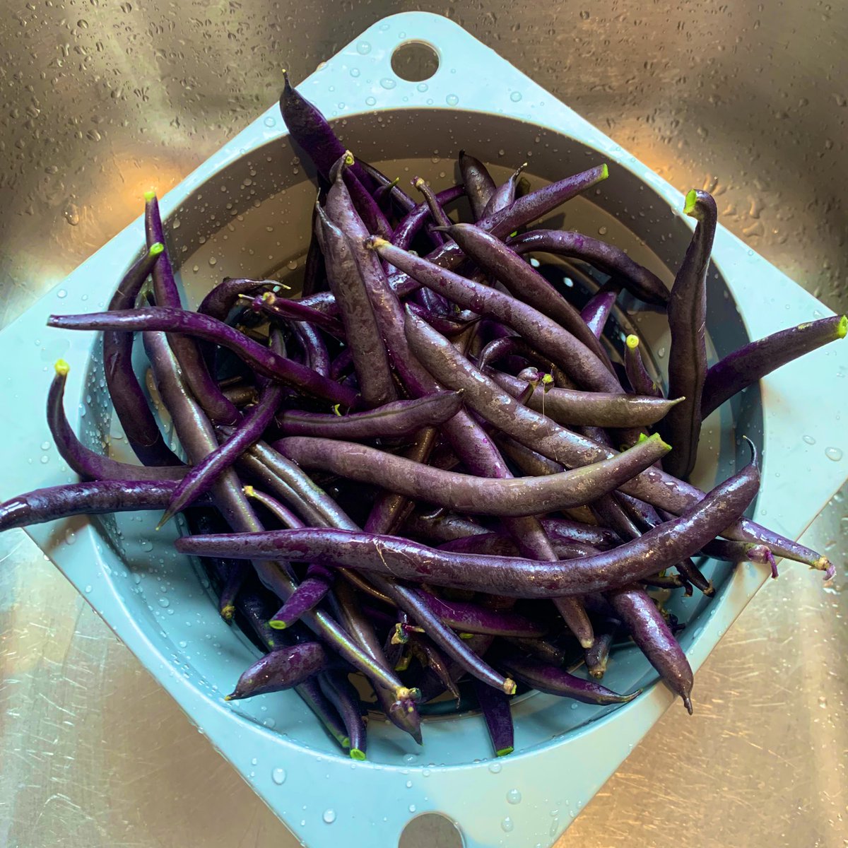 Mark does DofE Canoeing tweet media