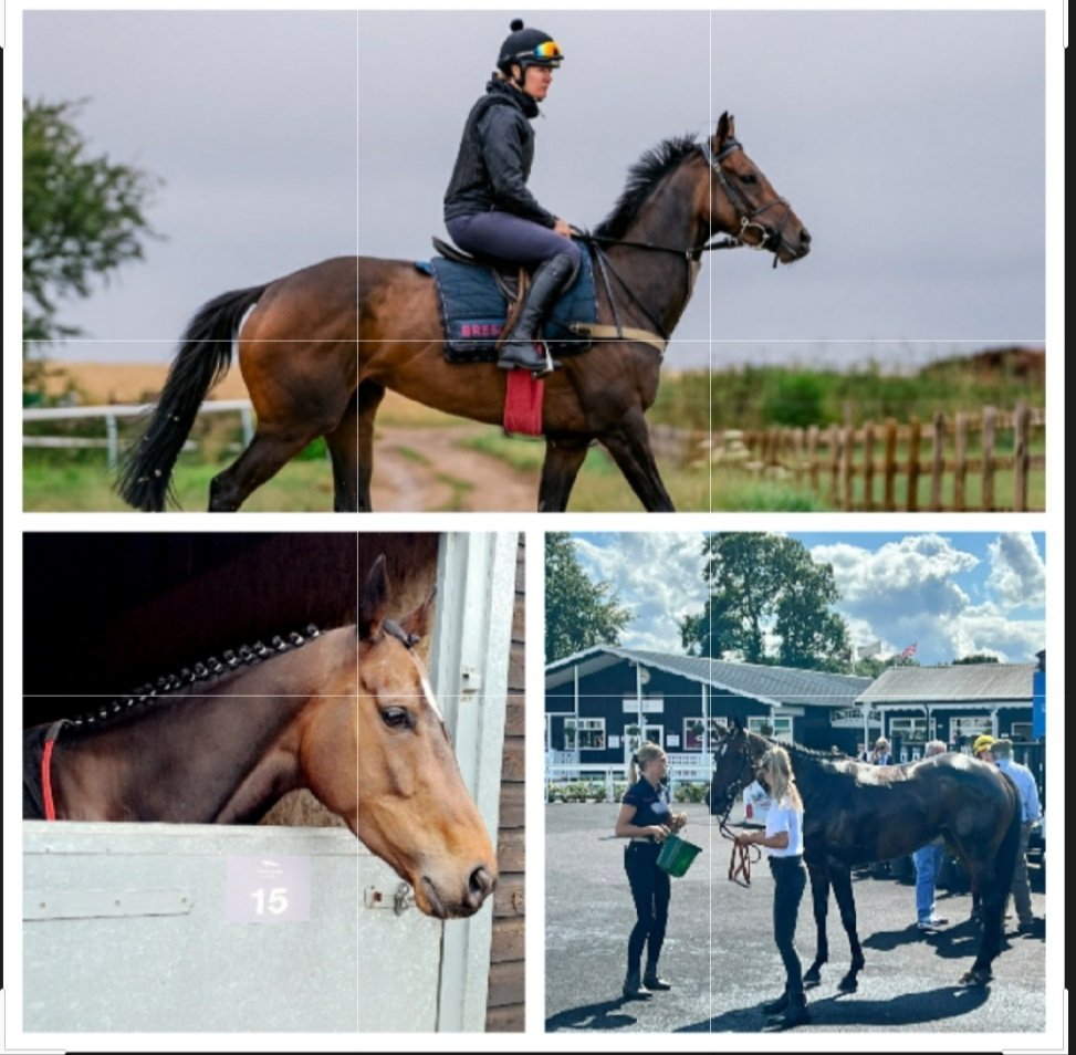 DavidCrosse's tweet photo. Congratulations to amateur jockey Ben Sutton who rode his first winner of the season on the @FOBRacing trained Police Academy @UttoxeterRaces.
Ben will be flat out trying to win the Champion Amateur title. He's got a lovely team ππ
Crossey's Coaching sponsored by @Fitzdares https://t.co/8apst8TZCC