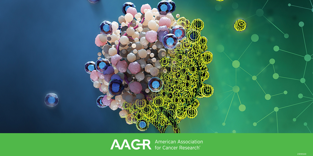 Register by Aug 16 to get the lowest rates for the AACR Special Conference on Pancreatic Cancer (Sept 27-30, Boston), chaired by Christine A. Iacobuzio-Donahue, Anirban Maitra, Rosalie C. Sears, and Jen Jen Yeh. bit.ly/3PYfK7n #AACRpan23 @ciacobu @Aiims1742 @SearsRosie