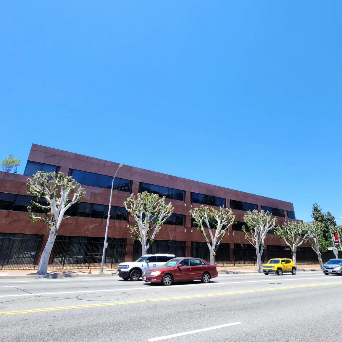 UPDATE:

With cooperation from the Bureau of Street Services, we have found that no tree trimming permits have been issued over the last three years for this location outside Universal Studios.

Also, the City did not issue any tree trimming permits for the latest tree trimmings.