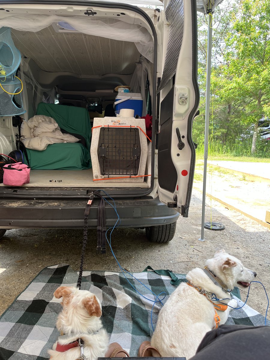 LeeColgin's tweet image. Camping in a van down by the river. A great place to get some writing done with the two best sidekicks around!