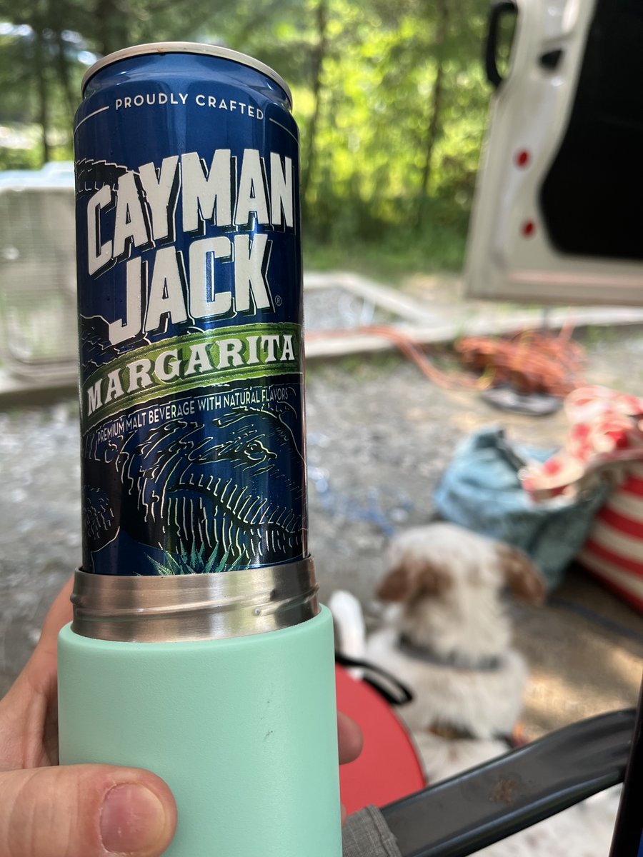 LeeColgin's tweet image. Camping in a van down by the river. A great place to get some writing done with the two best sidekicks around!