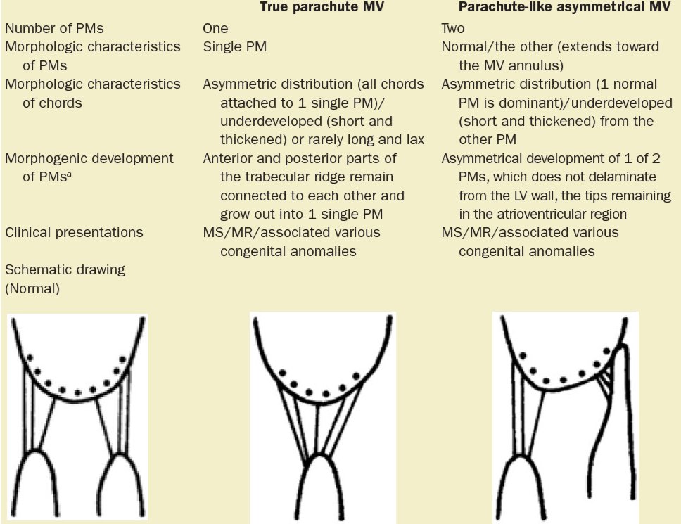 Enrico Bonnì tweet media
