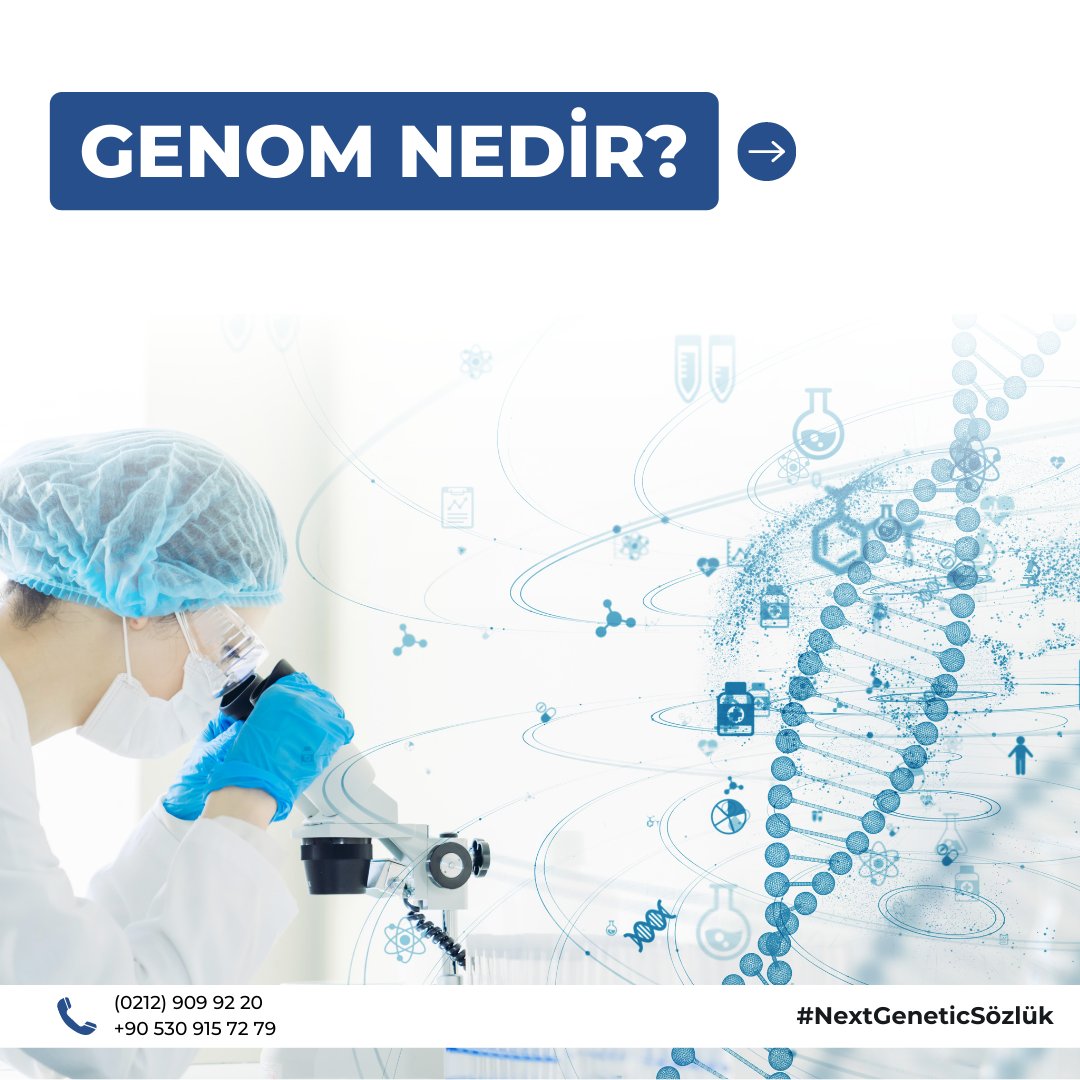 NextGenCen's tweet photo. Next GeneticCenter sözlük ile Genom nedir?

#NextGeneticCenter #NGCSözlük 
#genetik #genom #sağlık https://t.co/ouuqjggF17