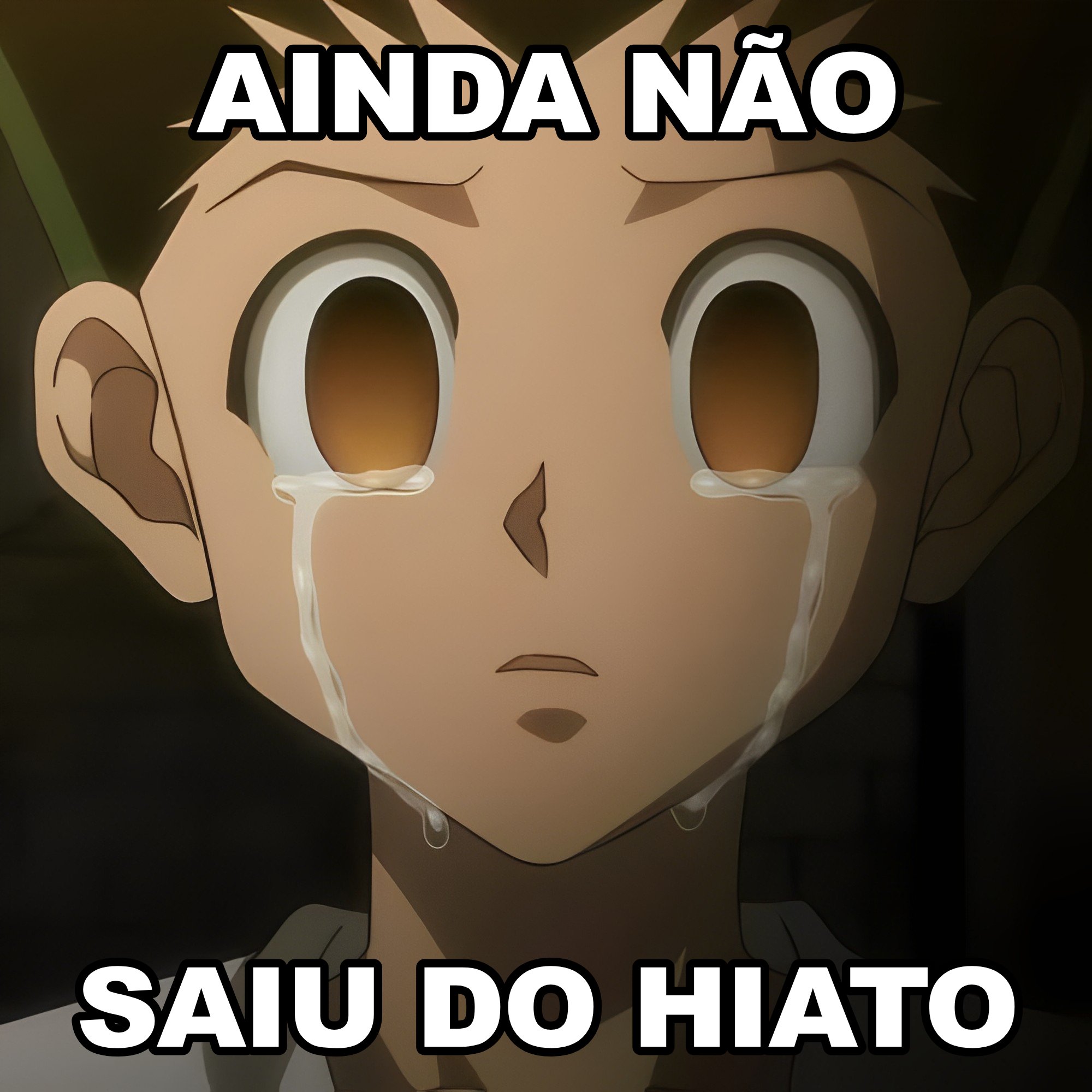 Hunter x Hunter já saiu do hiato? on X: NÃO É POSSÍVEL  KKKKKKKKKKKKKKKKKKKKKKKKKKKKKKKKKKKKKKKKKKKKKKKKKKKKKKKKKKKKKKKKKKKKKKKKKKKKKKKKK   / X