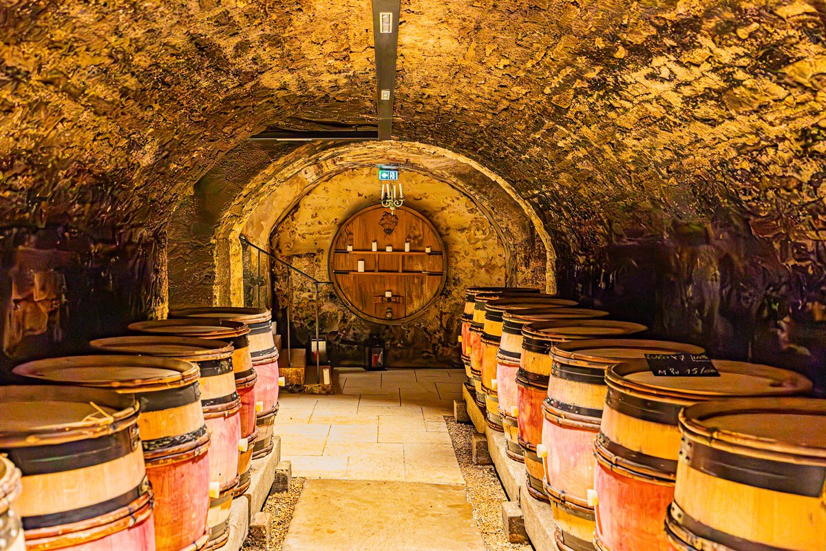 KyonyxPhoto's tweet photo. Série "Caves aux trésors" Escapade au Château-Gris
Avant l'ascension vers le majestueux Château-Gris, plongée au cœur du Domaine du Clos Frantin et leur cave magnifique qui m'a beaucoup inspiré.
#cave #caveavin #closfrantin #burgundy #albertbichot #magnifiquefrance https://t.co/uiQvmFsvJ7
