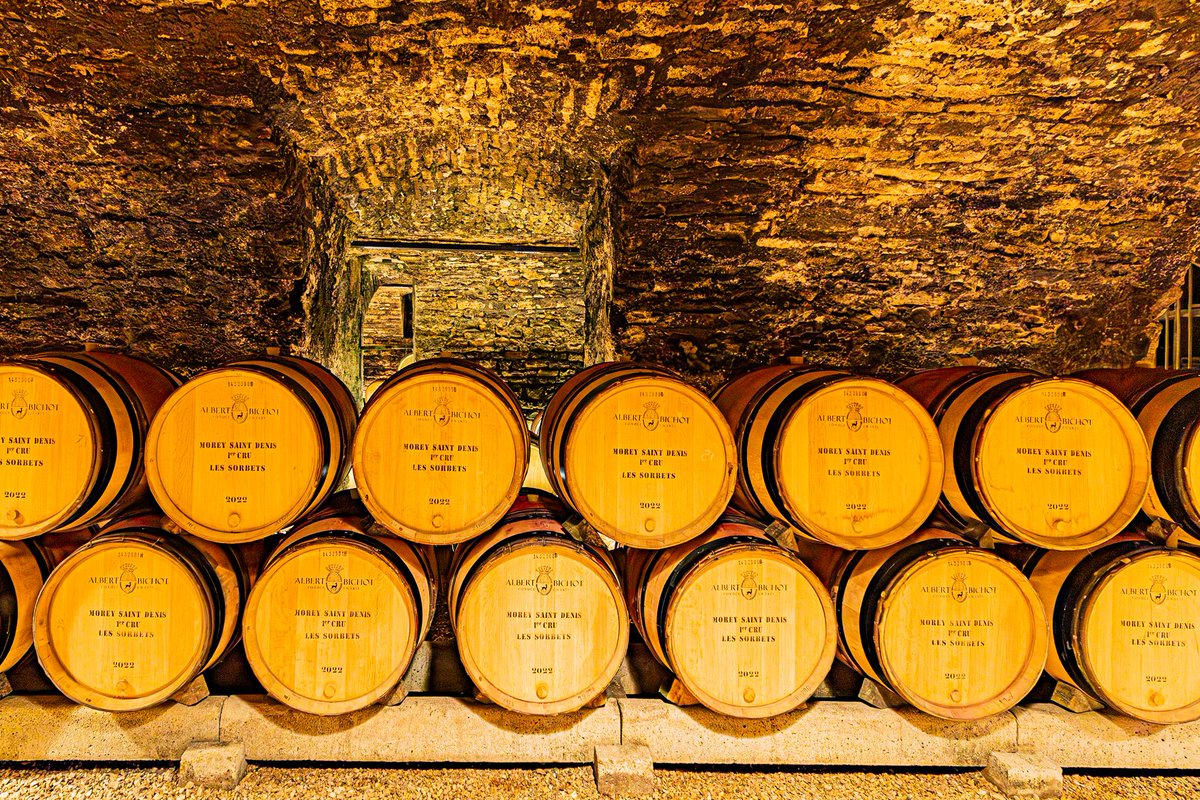 KyonyxPhoto's tweet photo. Série "Caves aux trésors" Escapade au Château-Gris
Avant l'ascension vers le majestueux Château-Gris, plongée au cœur du Domaine du Clos Frantin et leur cave magnifique qui m'a beaucoup inspiré.
#cave #caveavin #closfrantin #burgundy #albertbichot #magnifiquefrance https://t.co/uiQvmFsvJ7