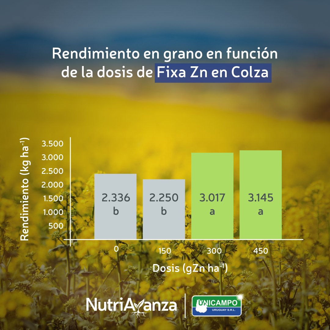nutriavanza's tweet photo. Les presentamos los resultados del rendimiento en grano en función de la dosis de Fixa Zn en Colza. 💪
#FixaZn #colza #elagronosedetiene https://t.co/olElOo8aRb