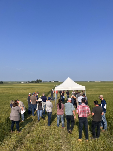 Today we’re in Carstairs for the second annual #Plot2FarmFieldDay! We’re looking forward to hearing from a range of industry experts in the field today as we discuss the importance of on-farm research. 

#AbAg #WestCdnAg #Plot2Farm