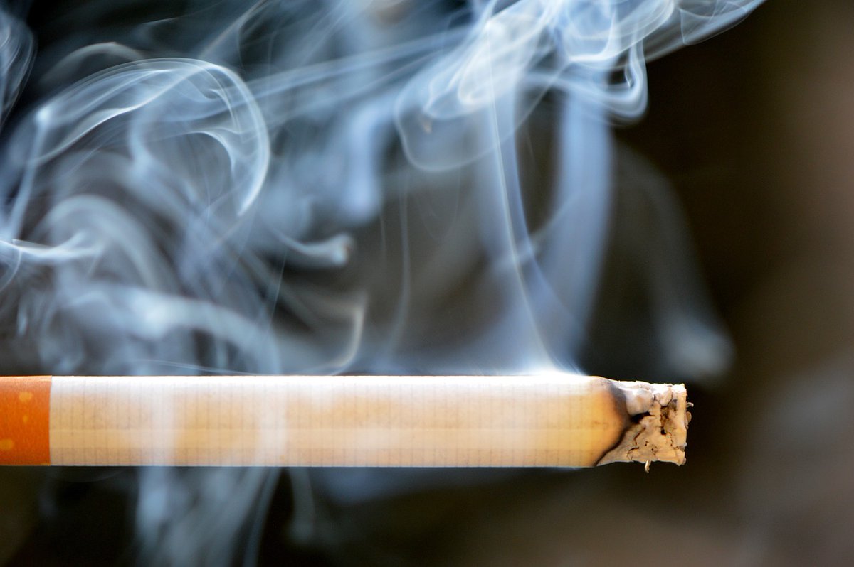 agentsruralscat's tweet photo. 🚗🚬 Detectem i denunciem un conductor per llançar una punta de cigar en marxa per la finestra, a Port de la Selva. És sancionat amb una multa econòmica.
Es fa l'actuació amb la Policia Local de Port de la Selva.
🚭❗ No llencis burilles des del cotxe. Sigues responsable! https://t.co/etlbfOAuJv