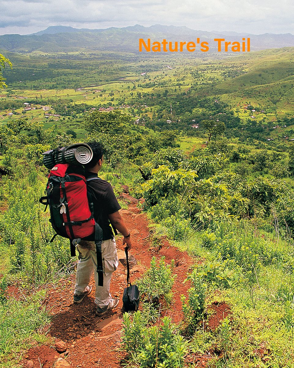 AambyV's tweet photo. Reconnect with the rhythm of the natural world with Aamby Valley's scenic trails. It's not just a trek, it's a journey into the heart of nature. Book now! Tel: +91-20 2290 0000 Ext: 104 #NatureTrek #AambyValleyCity #AdventureAwaits #GetOutdoors https://t.co/qmizlgK0TO
