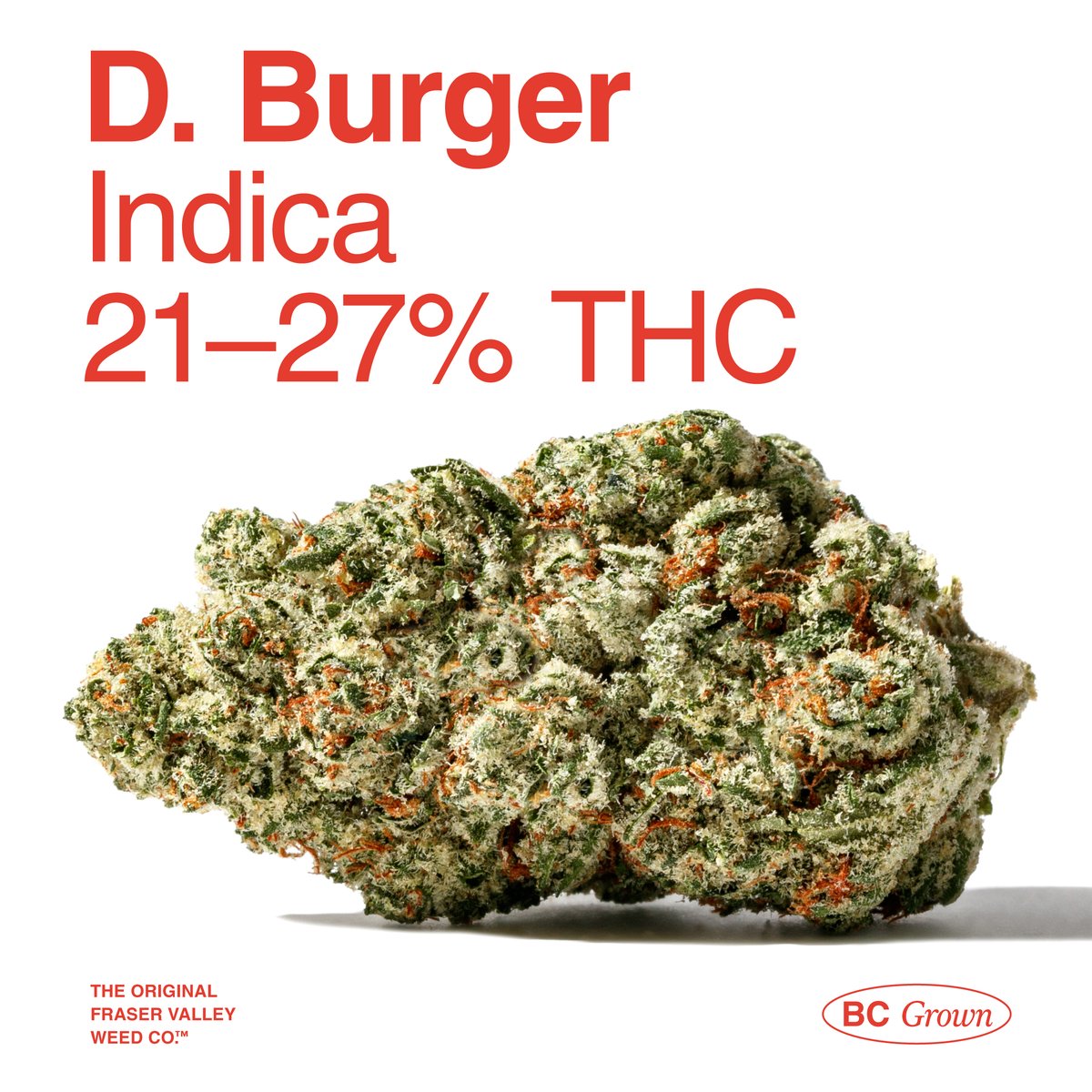 This crowd-pleasing indica is a potent GMO x Han Solo Burger cross. Easily recognized for its dense buds and savoury aromas.
