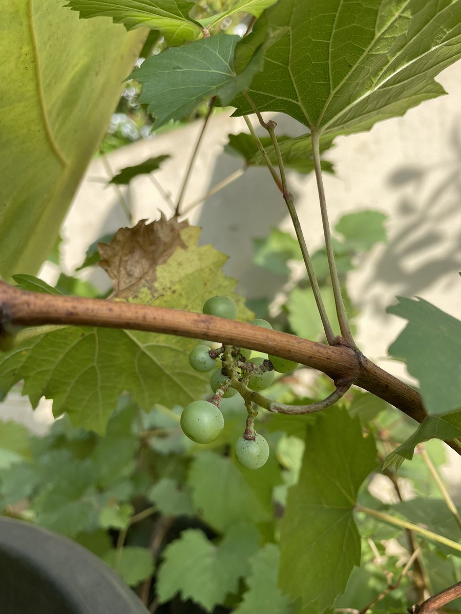 Untuk Kamu, orang paling baik yg saya kenal..