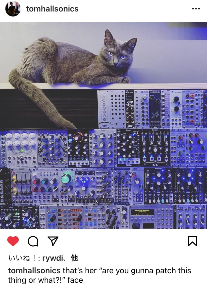 mistyminds's tweet photo. @Yebisu303 猫ちゃんと暮らせるようになるといいですね🥺
↓理想の #synthcat https://t.co/kdKkeybeJy